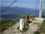 Kresišče, Mojstrovica, Visoki (kurji) vrh na Kresišču